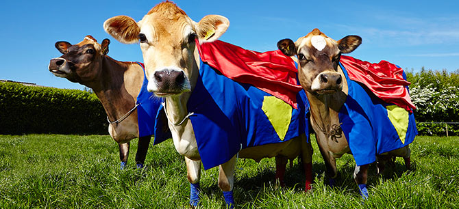 supercow