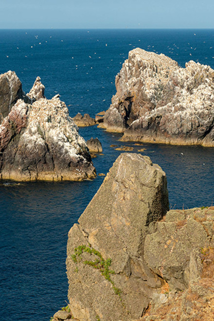Visit Alderney