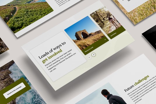 National Trust Blog 1 - Messaging that moves people: turning purpose into action Module Image