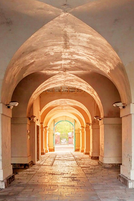 Royal Hasler Feature Image